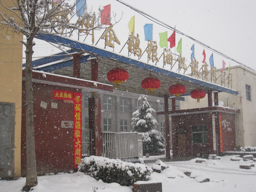 鄭州企鵝糧油機(jī)械有限公司雪景